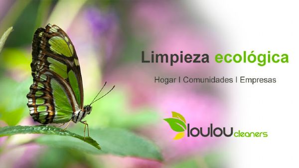 imagen web loulou cleaners