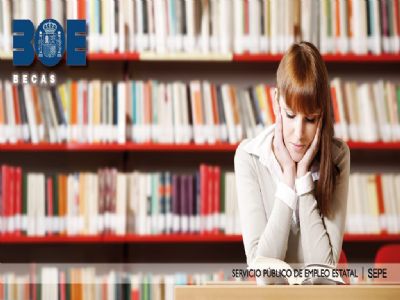 Becas de postgrado para investigacin estadstica