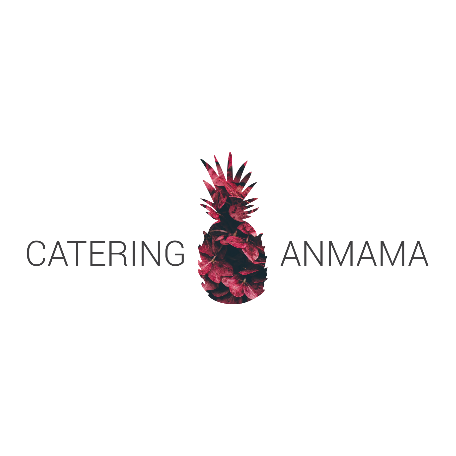 logo anmama