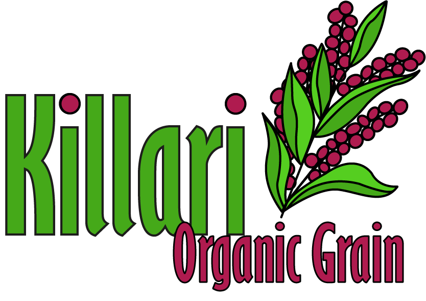 logo killari